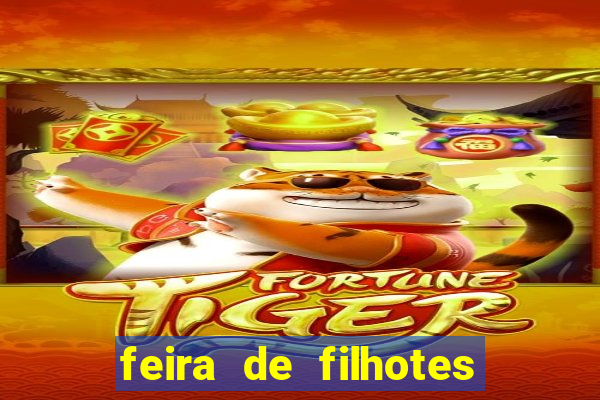 feira de filhotes porto alegre